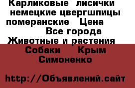 Карликовые “лисички“  немецкие цвергшпицы/померанские › Цена ­ 35 000 - Все города Животные и растения » Собаки   . Крым,Симоненко